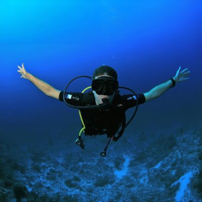 dive-butler-alexis