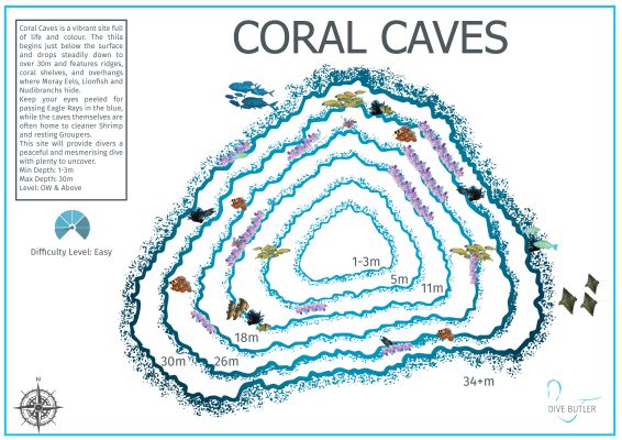 Dive Butler Zen Dive Sites_Coral Caves