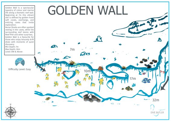 Dive Butler Zen Dive Sites_Golden Wall