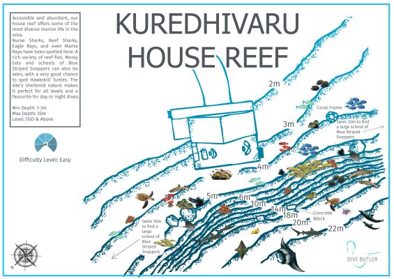 Dive Butler Zen Dive Sites_Kuredhivaru House Reef