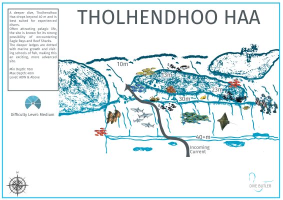 Dive Butler Zen Dive Sites_Tholendhoo Haa
