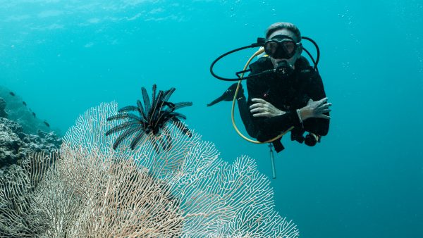 Scuba Diving in the Maldives – Explore Stunning Underwater Worlds