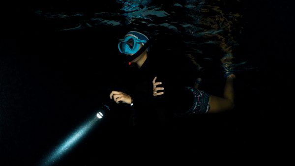 Dive Butler Night Snorkelling