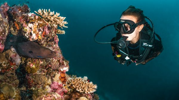 Dive Butler Diver with Moray Eel