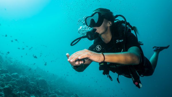 Dive Butler Diver