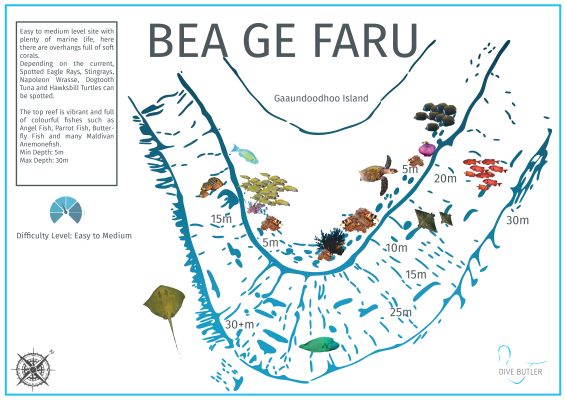 DBI Blue Wave Ifuru - Bea Ge Faru