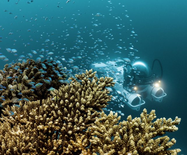 underwater view of a submersible behind a reef with many small fish in the ocean in the maldives