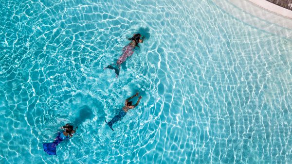 Dive Butler Mermaids Aerial