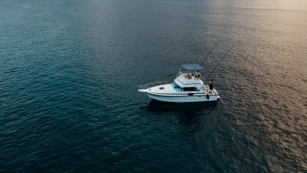 Dive Butler Big Game Fishing
