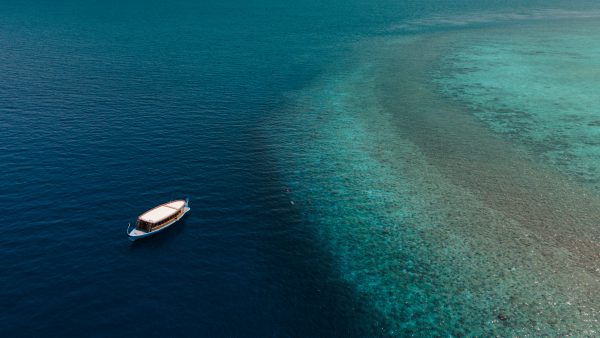 Dive Butler Reef Hopping