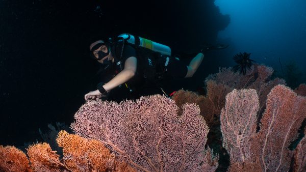 Dive Butler Diver Reef