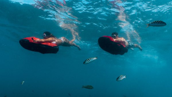 Dive Butler Seabob