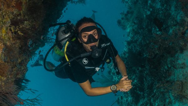 Dive Butler Diver Reef