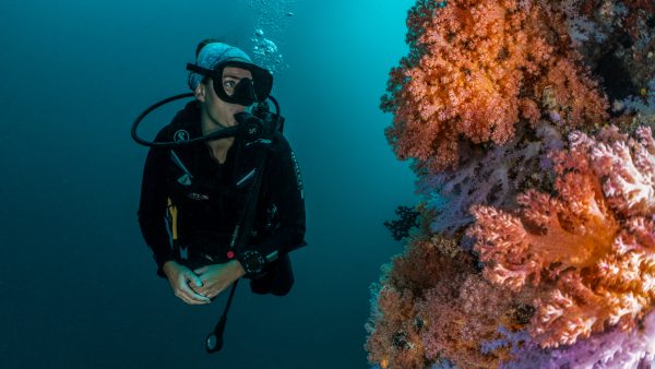 Dive Butler Diver Reef