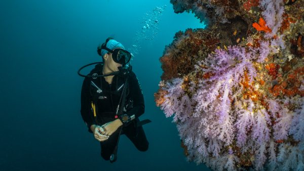 Dive Butler Diver Reef