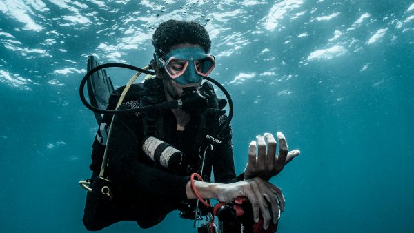 Dive Butler Diver Safety Stop