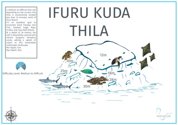 DBI Blue Wave Ifuru - Ifuru Kuda Thila