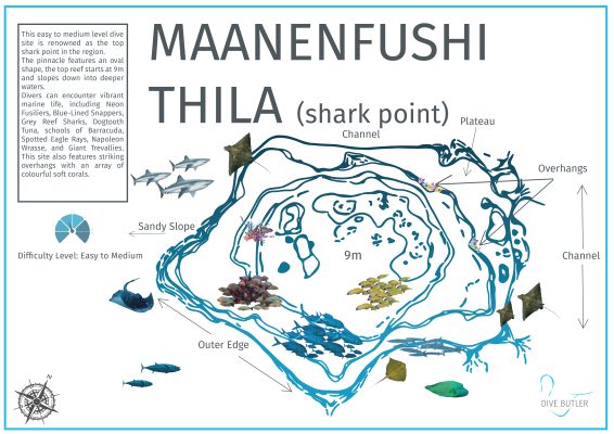 DBI Blue Wave Ifuru - Maanenfushi Thila