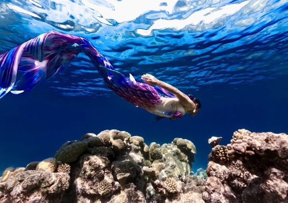 Mara Mermaid UW