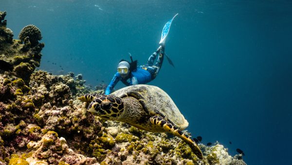Dive Butler Snorkeller with Turtle