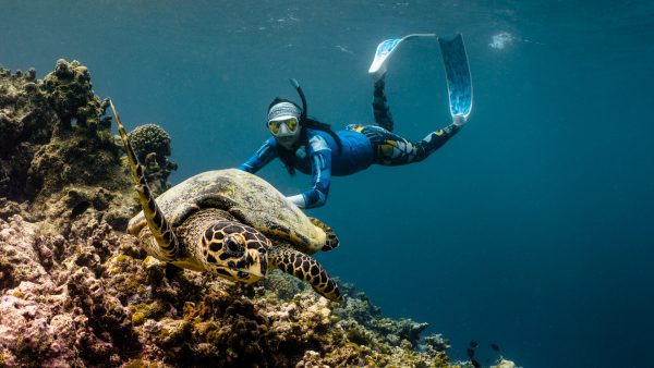 Dive Butler Snorkeller with Turtle