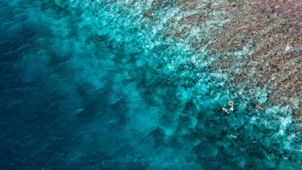 Dive Butler Snorkelling Aerial