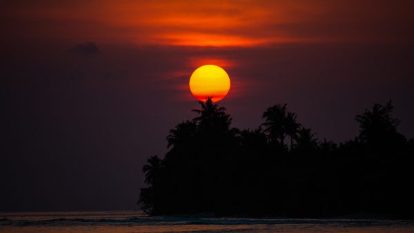 Dive Butler Sunset Cruise