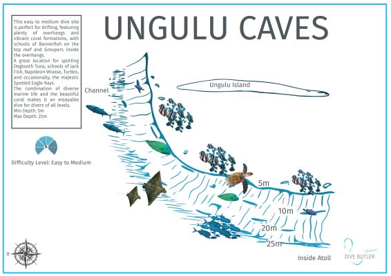 DBI Blue Wave Ifuru - Ungulu Caves
