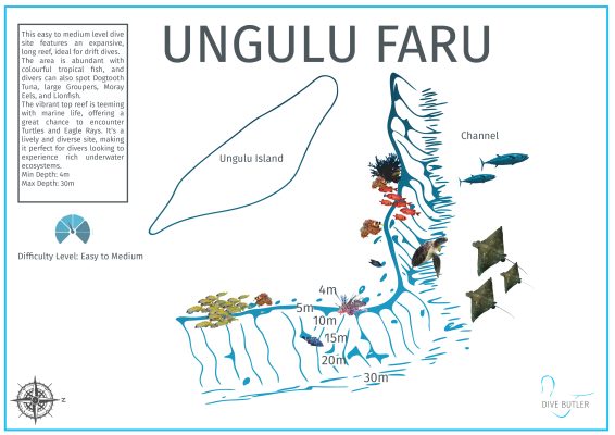 DBI Blue Wave Ifuru - Ungulu Faru