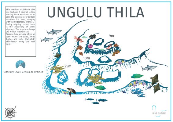 DBI Blue Wave Ifuru - Ungulu Thila