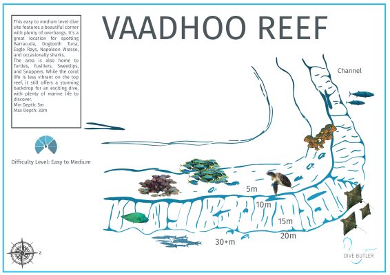 DBI Blue Wave Ifuru - Vaadhoo Reef