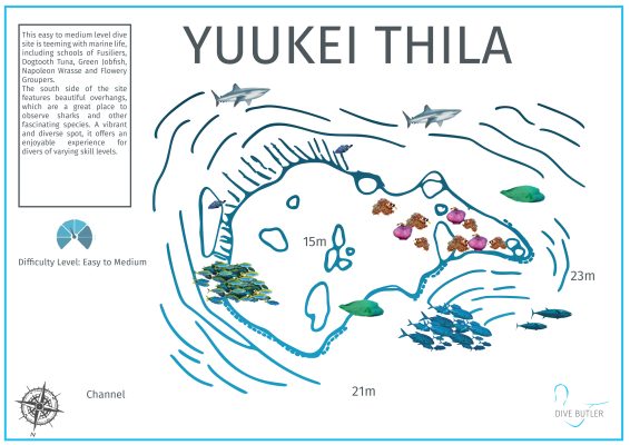 DBI Blue Wave Ifuru - Yuukei Thila
