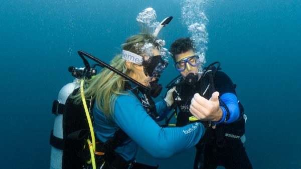 Dive Butler Alexis Vincent