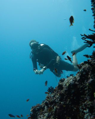 Dive Butler Antoine Perretti