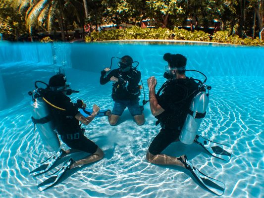 Dive Butler Fabien