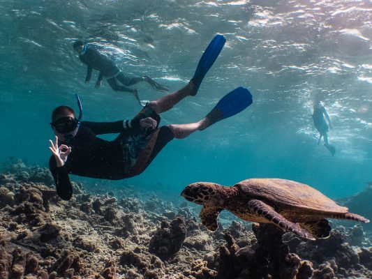 Dive Butler Fabien