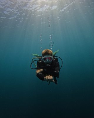 Dive Butler Josef