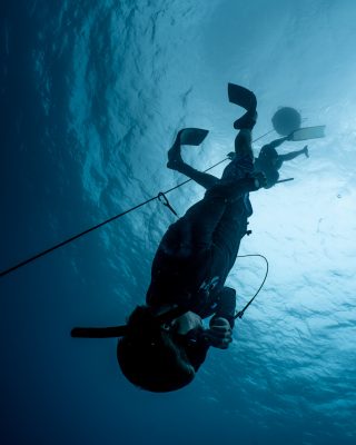 Dive Butler Josef