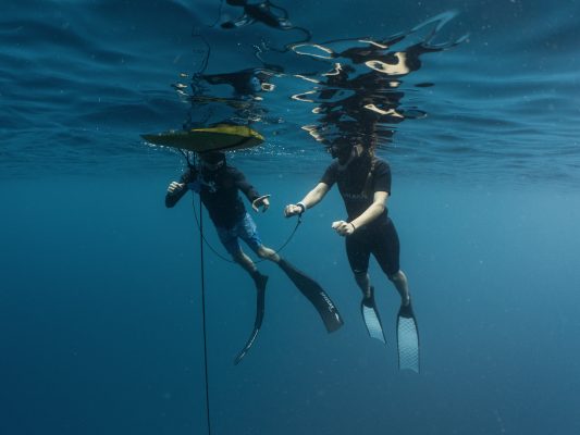 Dive Butler Josef