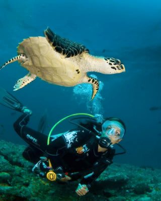 Scuba