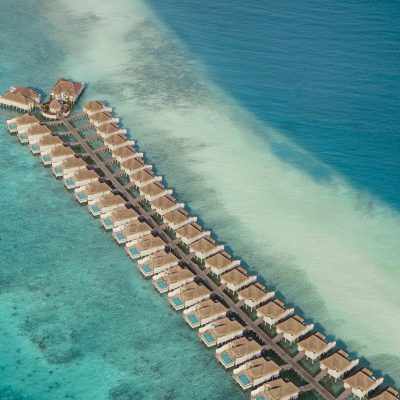 Silent Auction for World Ocean Day