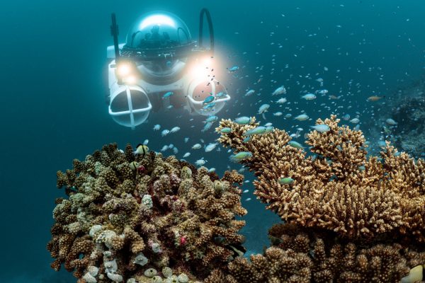 Dive Butler Deep SeaFari Submersible