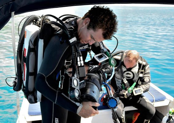 Dive Butler Todd Thimios