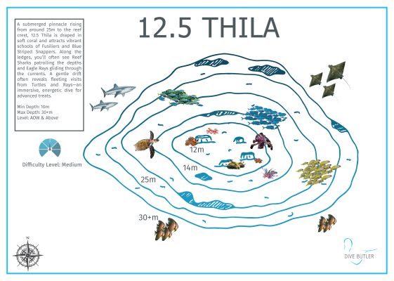 Dive Butler Finolhu Dive Sites_12.5 Thila