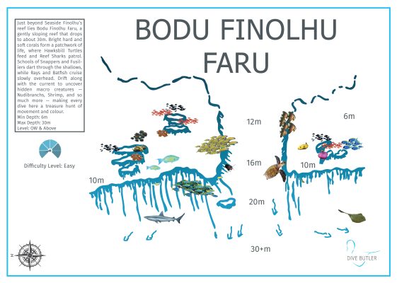 Dive Butler Finolhu Dive Sites_Bodu Finolhu Faru
