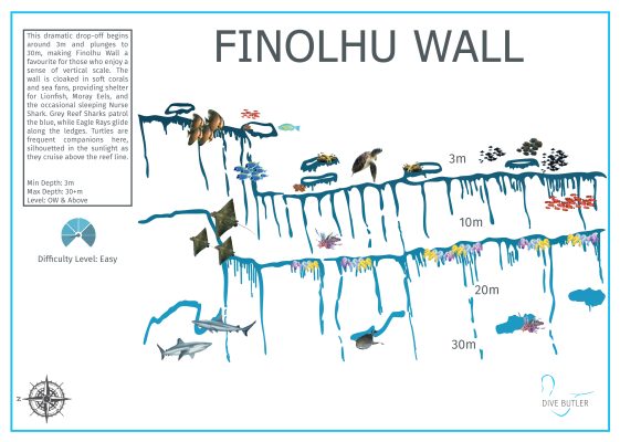 Dive Butler Finolhu Dive Sites_Finolhu Wall