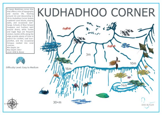 Dive Butler Finolhu Dive Sites_Kudhadhoo Corner