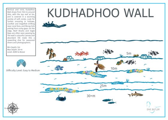 Dive Butler Finolhu Dive Sites_Kudhadhoo Wall