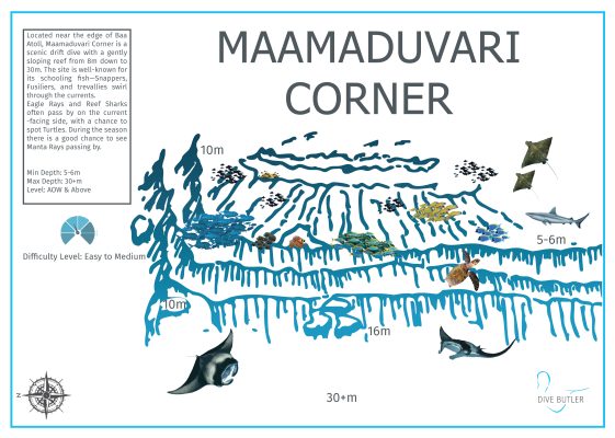 Dive Butler Finolhu Dive Sites_Maamaduvari Corner