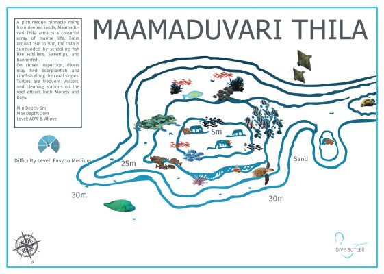 Dive Butler Finolhu Dive Sites_Maamaduvari Thila